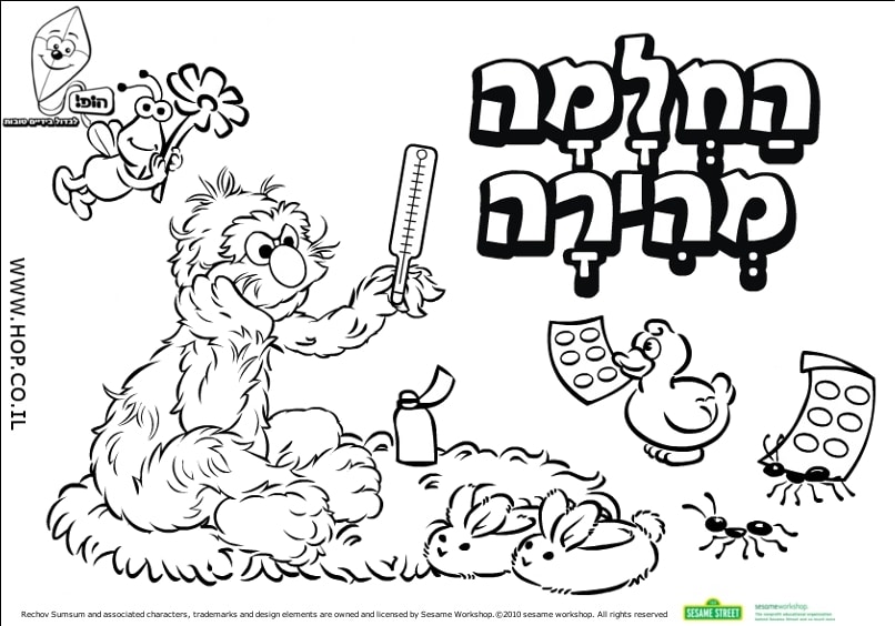 החלמה מהירה