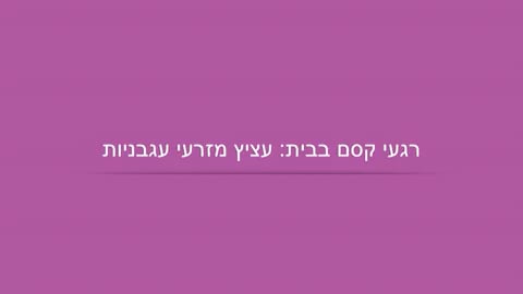 מה עושים היום? קסם עם קלף וצעיף