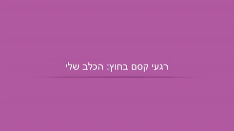 הכלב שלי