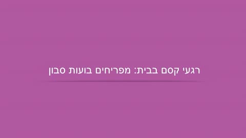 מה עושים היום? קסם עם קלף וצעיף