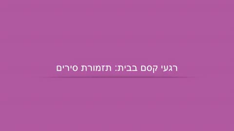 ספיישל לומדים עם אותיות עם הופ