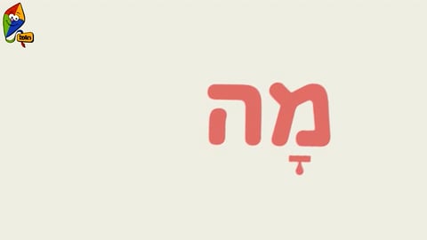 מה עושים היום? קלמר מתגלגל