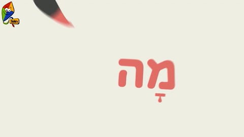 מה עושים היום? קלמר מתגלגל