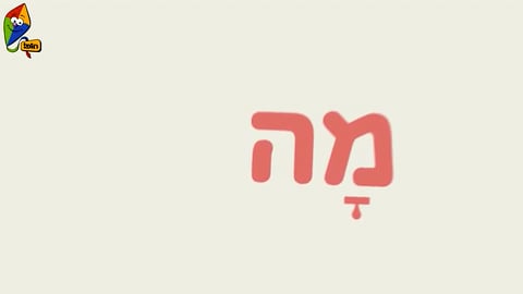 מה עושים היום? קלמר מתגלגל