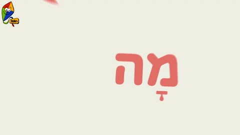 מה עושים היום? קלמר מתגלגל