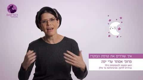 איך שורדים את טרפת הבוקר?